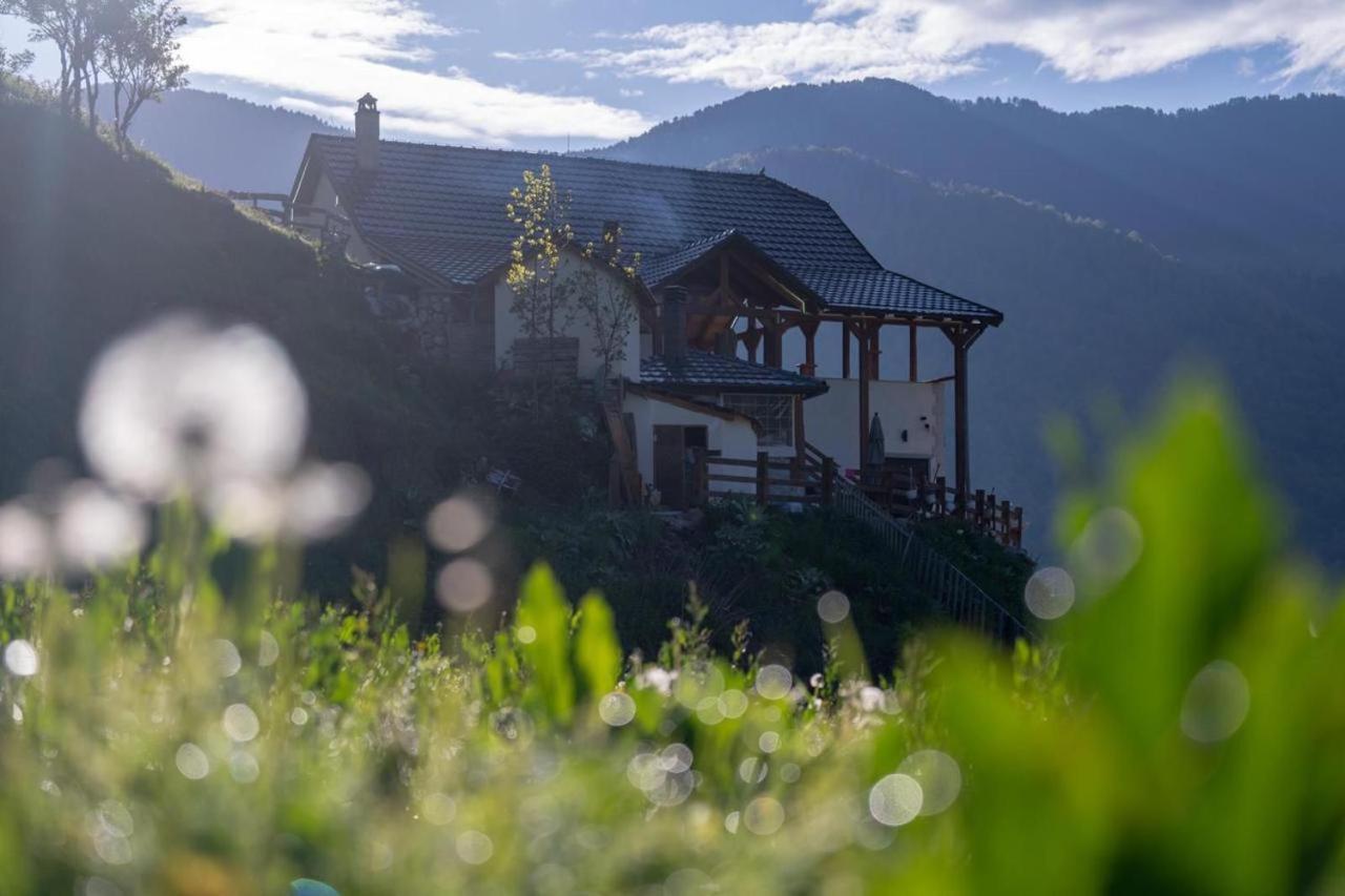 Zeneli Alpin Chalet Cerem Dış mekan fotoğraf