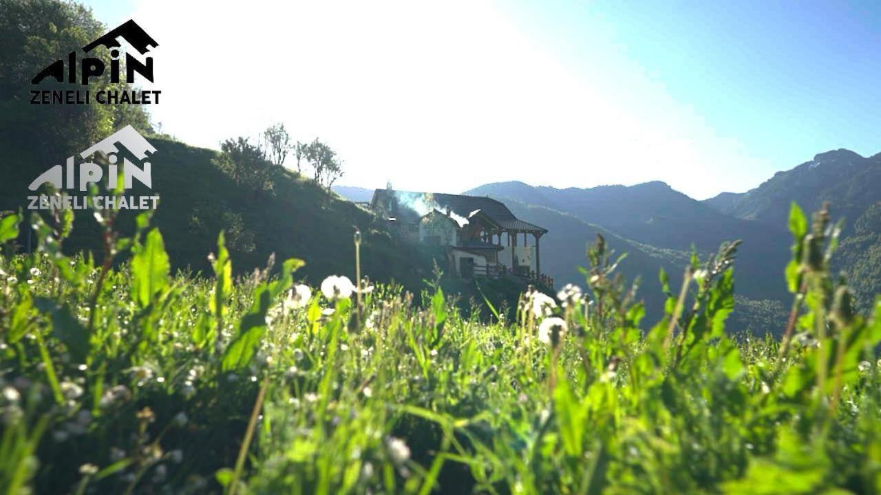 Zeneli Alpin Chalet Cerem Dış mekan fotoğraf